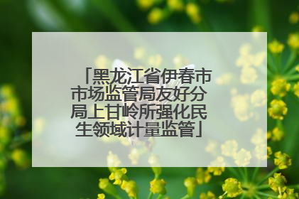 黑龙江省伊春市市场监管局友好分局上甘岭所强化民生领域计量监管